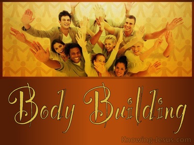Body Building (devotional)12-10 (brown)